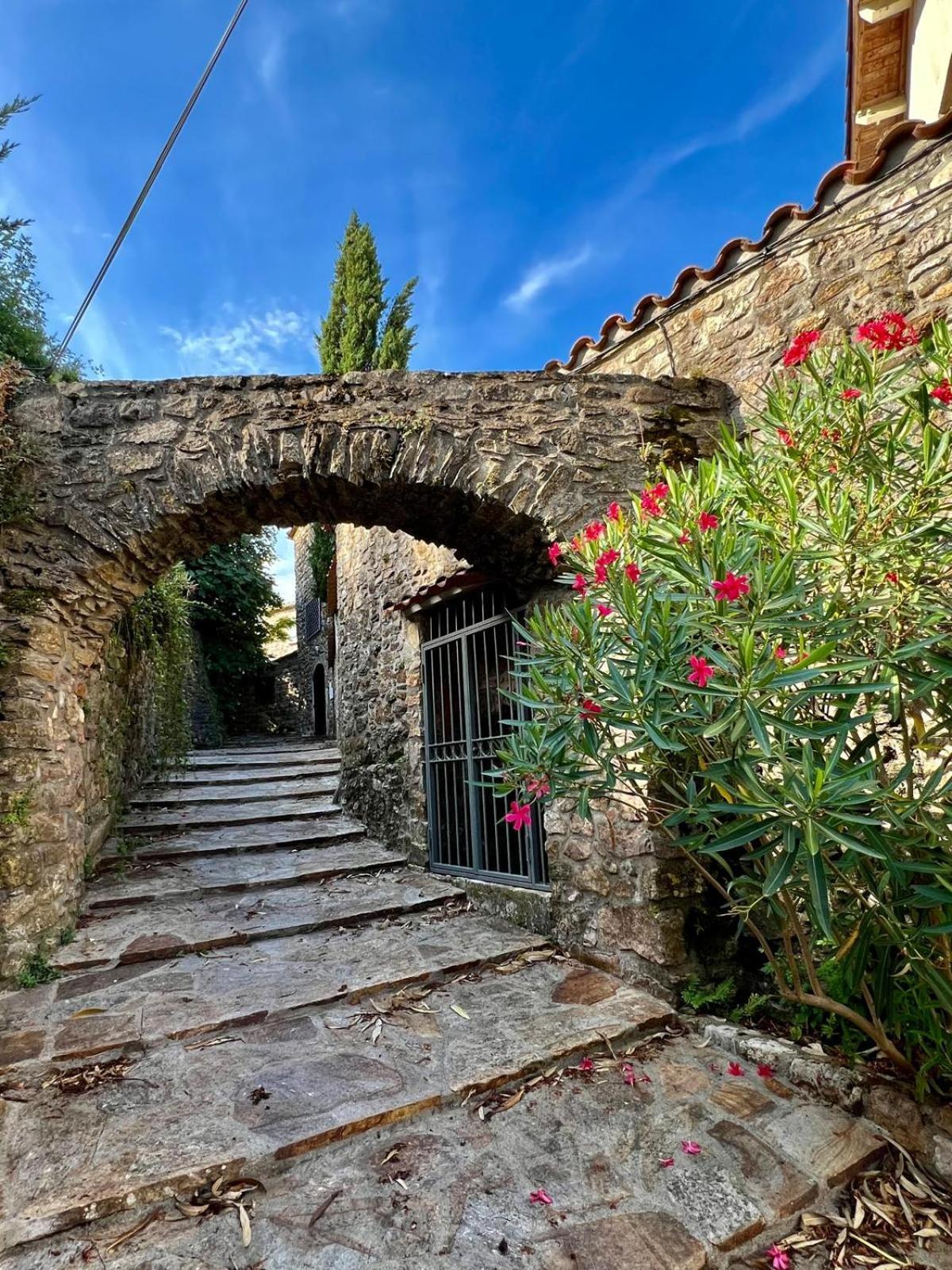 Moulin Gaillard Hotel Bédarieux Exterior foto